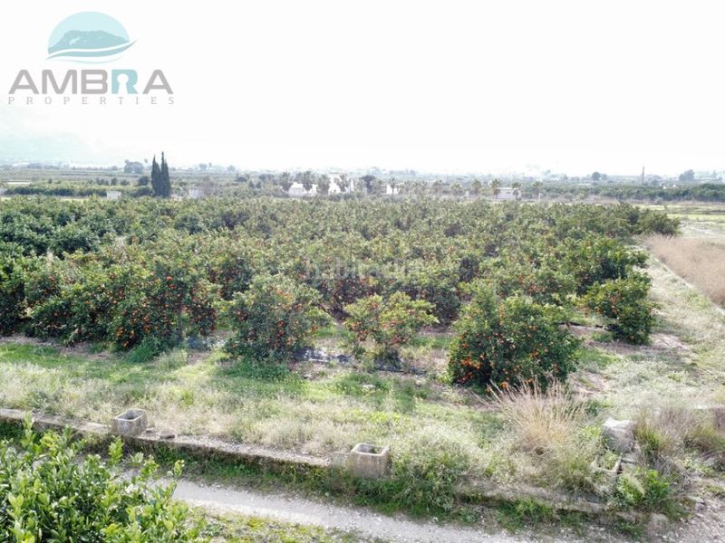 Foto e70eefee-7e95-4adb-8fdb-abf9f4592ae0. Finca rústica a Pego