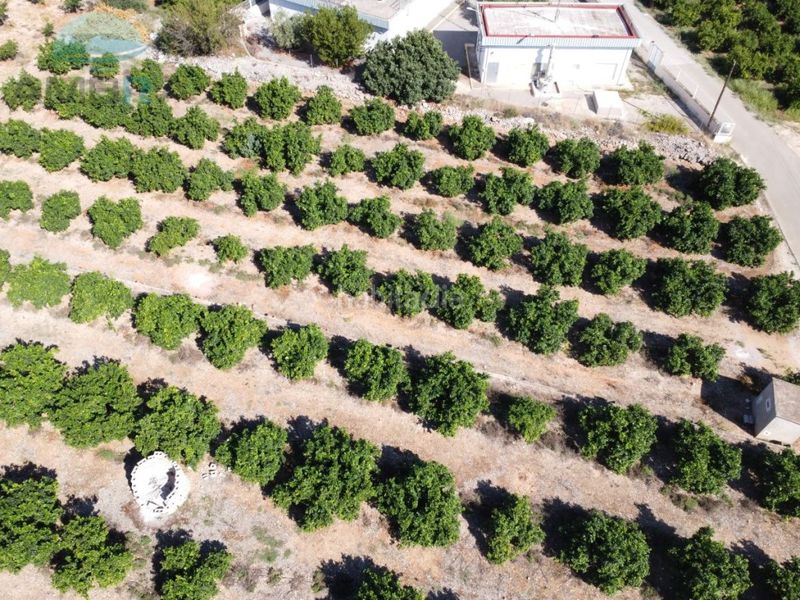 Foto f695989e-8883-4ca9-8a99-202bc04e7ea0. Finca rústica a Orba