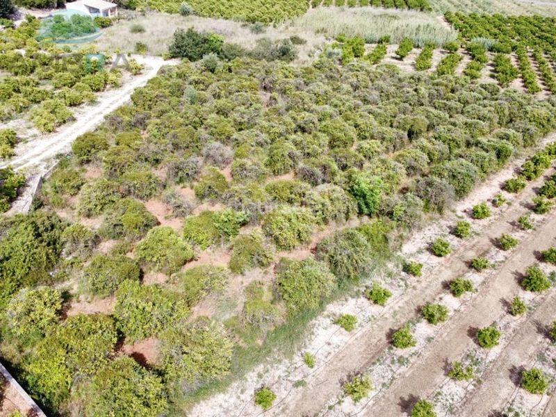 Foto 0fb5ca7d-2d2f-4ab5-822d-1e7c73aea1a5. Finca rústica a Tormos