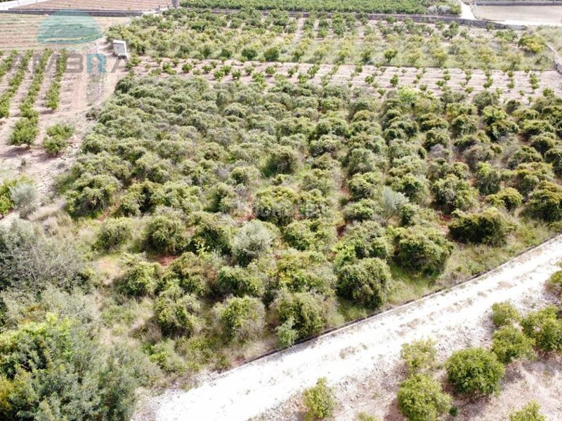 Foto 3f744b99-746f-4a67-8ff9-a8862df67c78. Finca rústica a Tormos