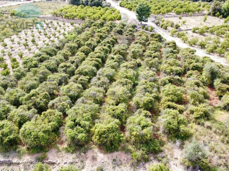 Foto 6c68f985-e342-4d63-bb78-b87f2ce8ff17. Finca rústica a Tormos
