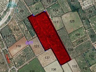 Landgut  Partida garroferal. Terreno construible en orba