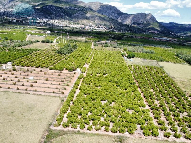 Foto a88eba24-c158-4805-8f65-2d084ce365de. Finca rústica a Orba