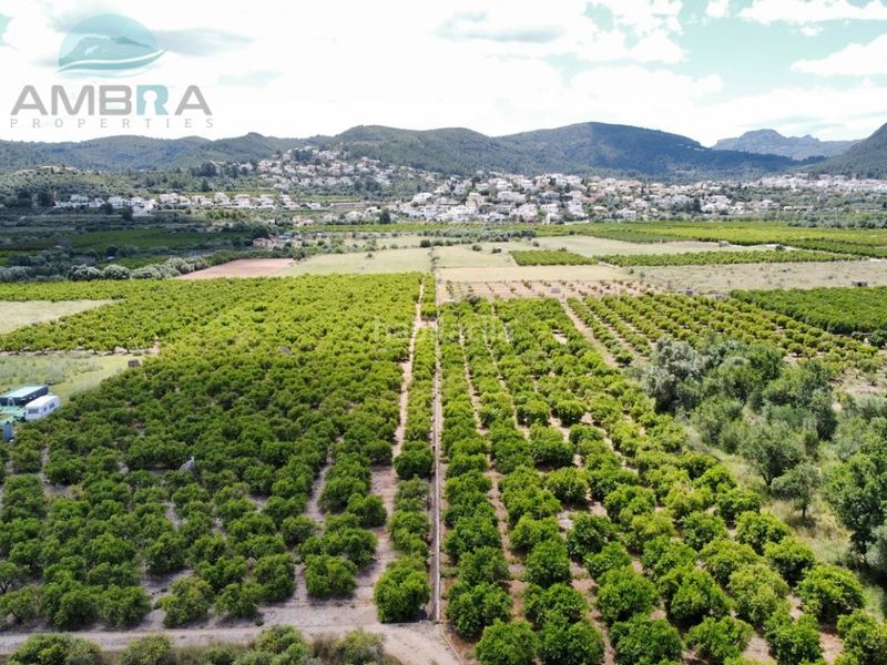 Foto aba5ced8-54ef-490d-b77f-655e69ca89ff. Finca rústica a Orba