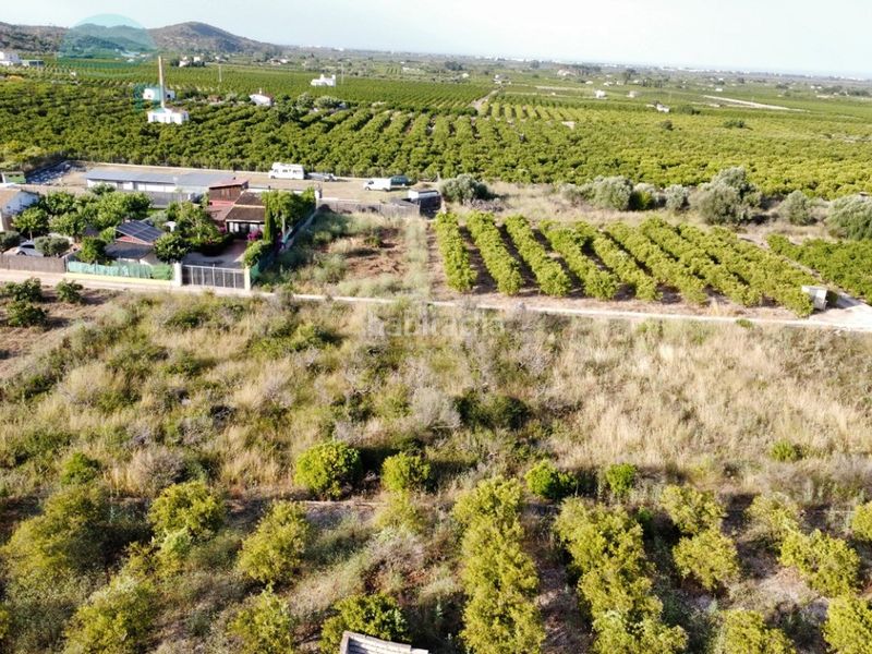 Foto 7c74d9bd-7f30-4d03-a683-51f92de8d4e0. Finca rústica a Pego