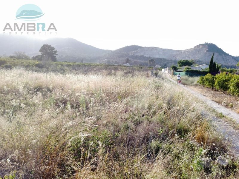 Foto a5f2fefe-36d7-476a-9ca6-fd5640c23544. Finca rústica a Pego