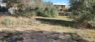 Terreny residencial  Carrer de mestral