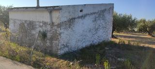 Country house in Ampolla (L´). Finca muy cerca del mar