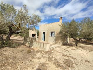 Masia a Camarles. Finca rústica con casita de campo
