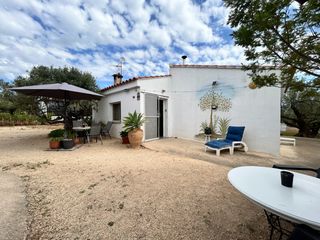 Country house  Diseminado diseminats. Un refugio de calma entre olivos: dos hogares con alma en plena