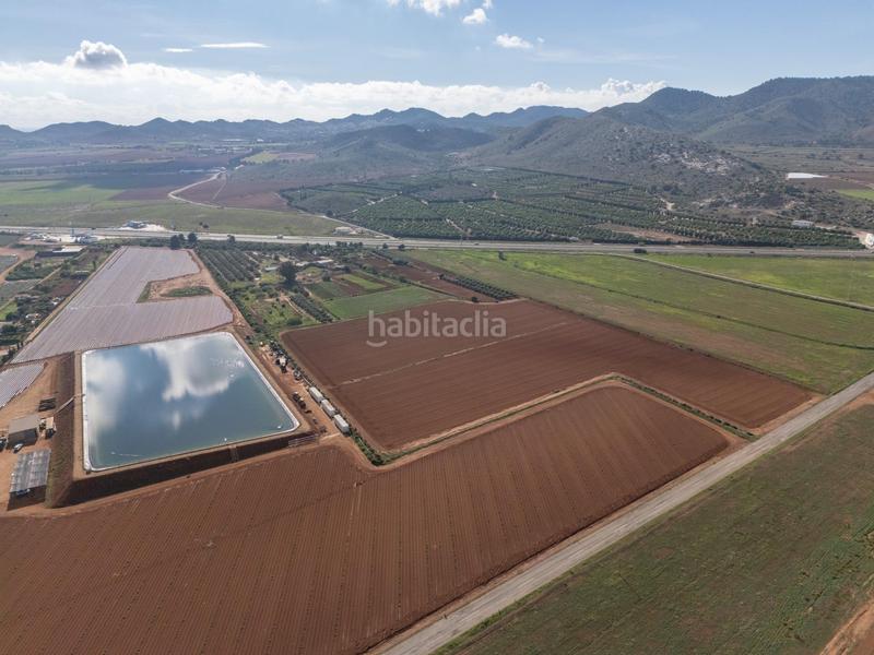 Foto 303ed136-9c77-4f8c-9ab0-ab4a9af798dd. Mas dans Los Nietos Cartagena