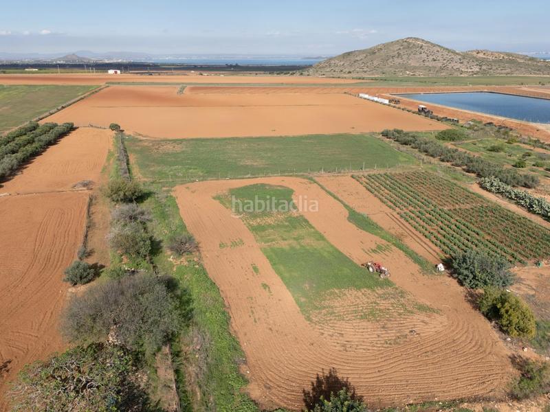 Foto 34771486-1acb-40c3-aeb6-8e9ec33286f5. Mas dans Los Nietos Cartagena