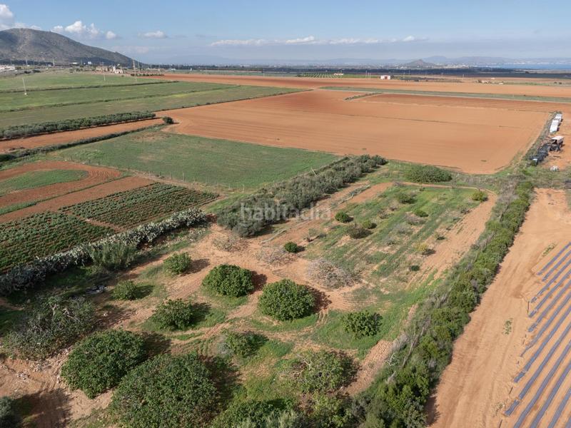 Foto 6a828d04-0d69-491c-85f1-2bc86ec22dbe. Mas dans Los Nietos Cartagena