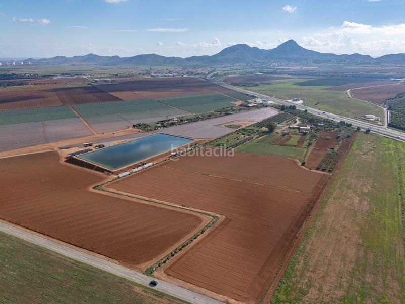 Foto 7a9d708b-6bba-4827-95a8-5b9ba18c8199. Mas dans Los Nietos Cartagena