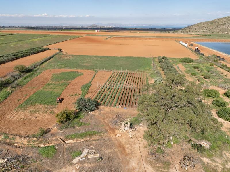 Foto b4f19a3a-e01f-4f39-bb46-8f5edfb3a9ea. Mas dans Los Nietos Cartagena