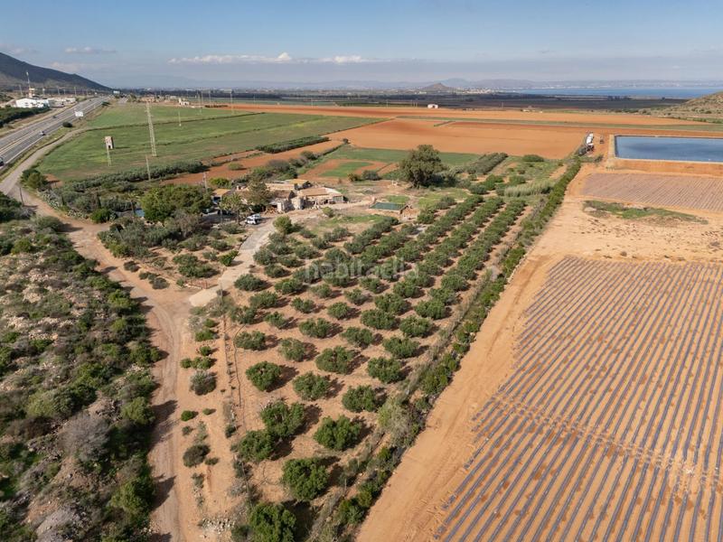 Foto d2c63e47-eec3-4e8f-ad70-0ed62dffc608. Mas dans Los Nietos Cartagena