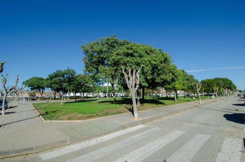 Foto 68382450-2302-44b8-93a0-146ecdaf4328. Xalet a calle pegaso 62 a Pilar de la Horadada ciudad Pilar de la Horadada