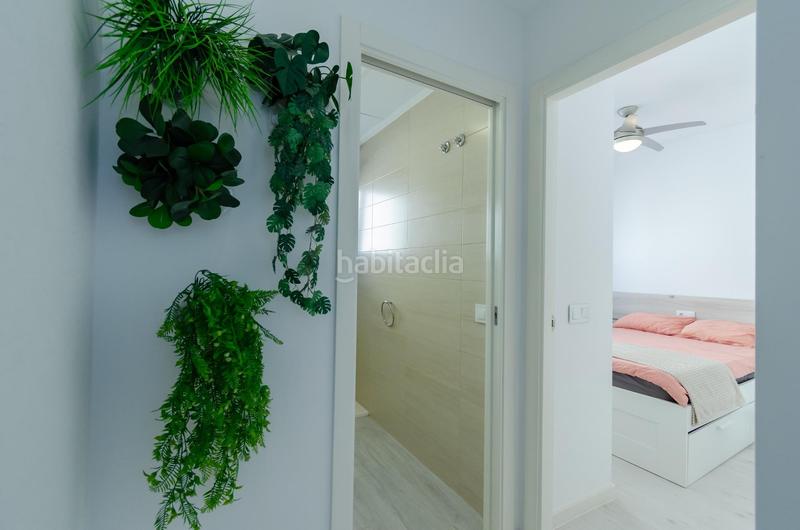 Foto bf6088be-fd68-43f2-995d-14e063a4bc47. Xalet a calle pegaso 62 a Pilar de la Horadada ciudad Pilar de la Horadada