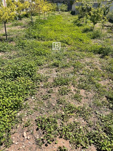 Foto a09c04ab-1999-4e35-b253-a84dbf281f2b. Propriété dans Jamilena