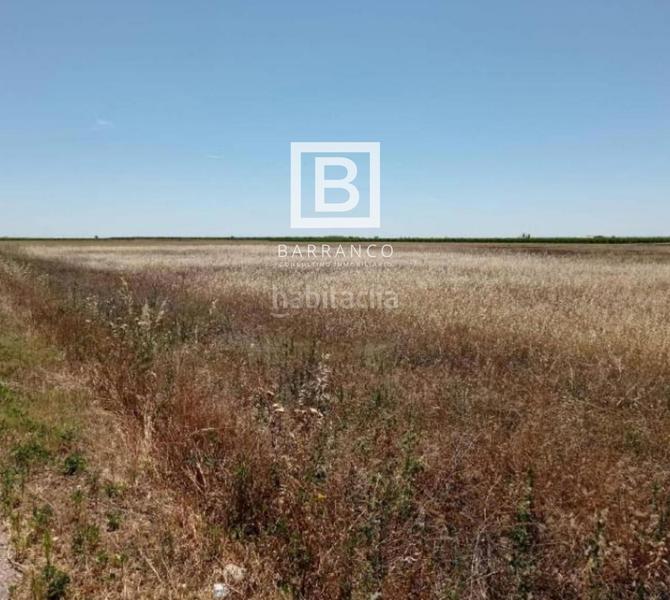 Foto 0d5ab8d0-2732-41c6-b9ab-e10725ec2276. Rural plot in Mota del Cuervo