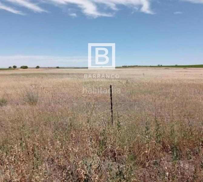 Foto 252e4084-9815-4a9c-9b2e-d29d9496af14. Rural plot in Mota del Cuervo