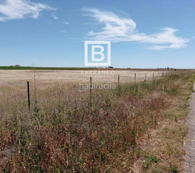 Foto 86b8116f-42a9-4a41-bc26-562bb46c0643. Rural plot in Mota del Cuervo