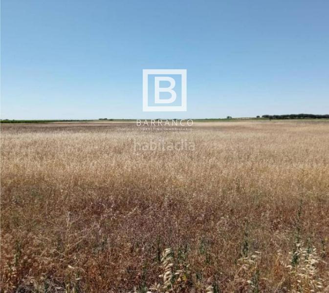 Foto a7f82123-194f-4594-8685-a24b1ec1c529. Rural plot in Mota del Cuervo