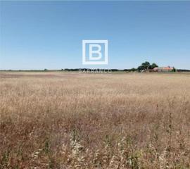 Propriété  Camino real baja. Venta de finca rústica