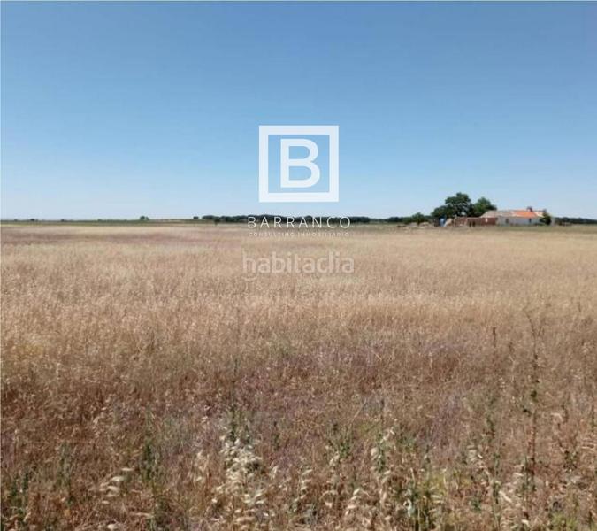 Foto b663c95d-e62d-4a8e-9843-8e765c673c5c. Rural plot in Mota del Cuervo