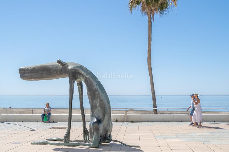 Foto 777112fd-b732-4758-86aa-0f010d44bf99. Àtic a Centro Estepona