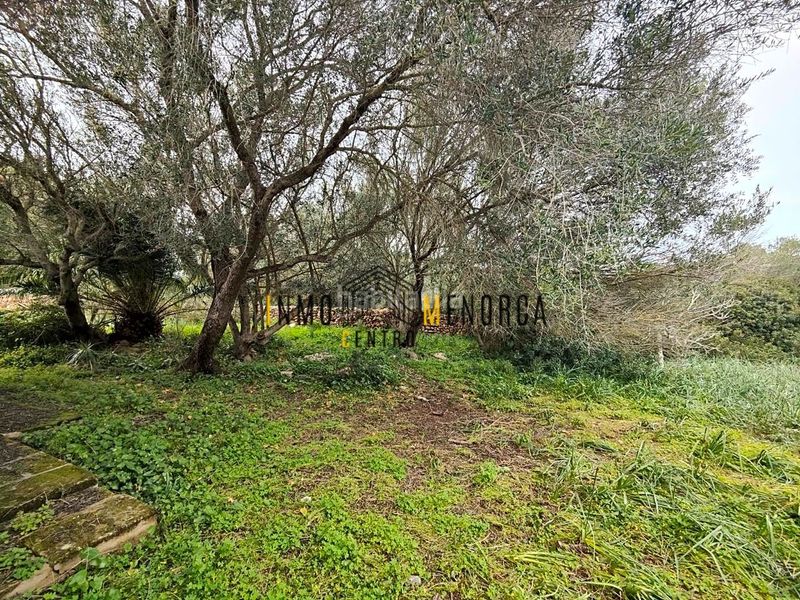 Foto 304a3297-4fbf-41eb-91e6-1719cf0aa262. Country house in Ciutadella Ciutadella de Menorca