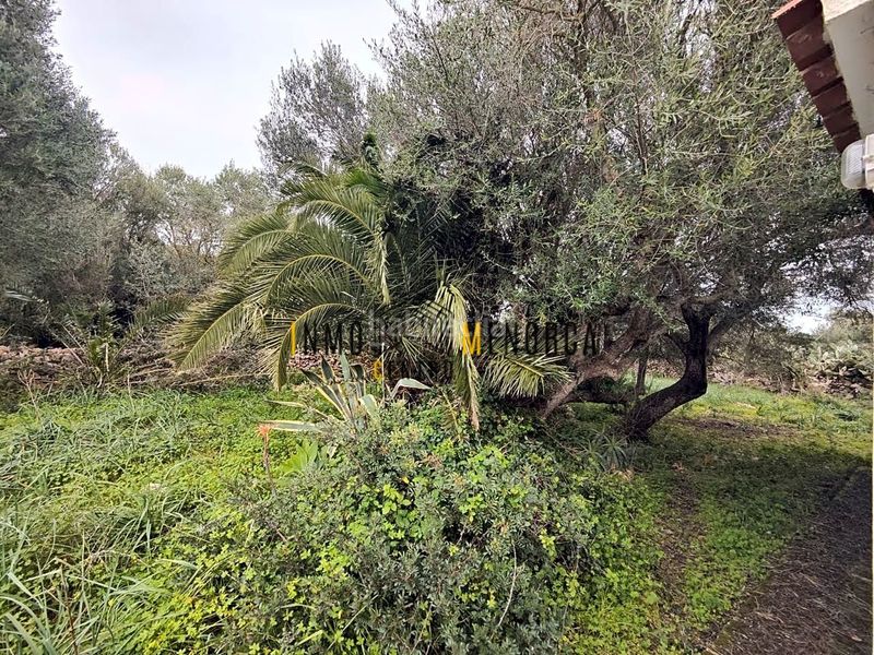 Foto aa1d1233-982d-4f7f-86b8-1d60347032d3. Country house in Ciutadella Ciutadella de Menorca
