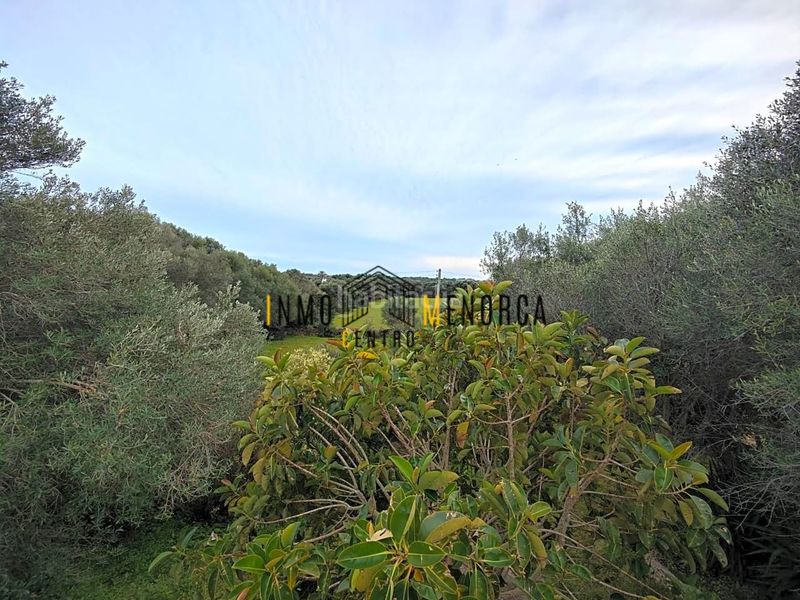 Foto d3916bd6-35d2-431a-a793-feebb3f8bfb1. Country house in Ciutadella Ciutadella de Menorca