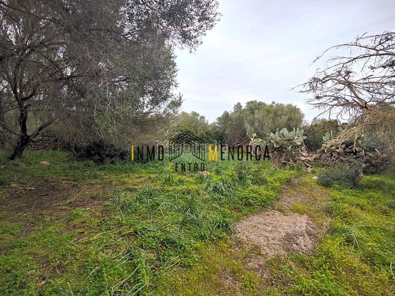 Foto e79f2366-6126-41de-8216-9616c783fdfc. Country house in Ciutadella Ciutadella de Menorca