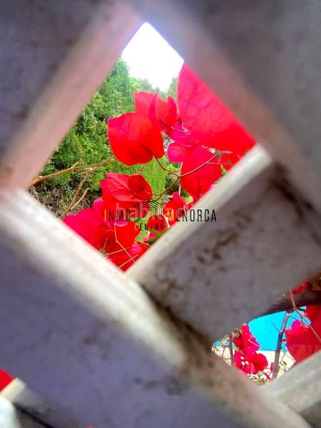 Foto 0183a728-6873-456b-b2ee-f38cd11093c5. Casa chalet con piscina y licencia turística en cala galdana en Ciutadella de Menorca