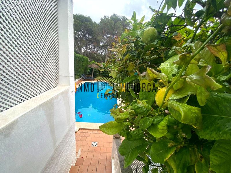 Foto 2c6f33b7-77da-4695-a505-817a5a29aee7. Casa chalet con piscina y licencia turística en cala galdana en Ciutadella de Menorca
