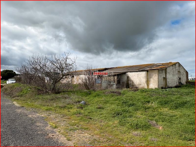Foto 14d5e342-8135-4ff4-88dc-c168a7469bcc. Bauernhof in Torrijos