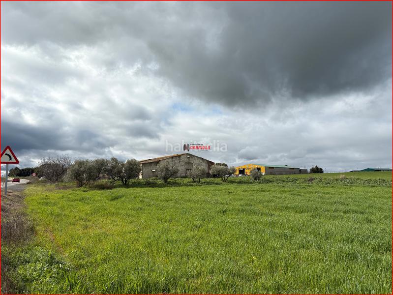 Foto 0ca075ef-567f-4a0b-b8ac-1f575c1e1b2c. Mas dans Torrijos