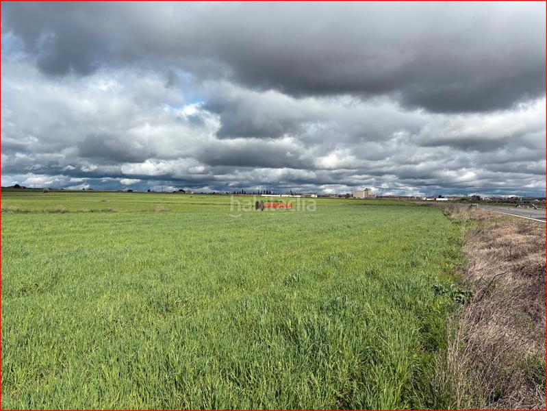 Foto f14b48a5-0695-4c0b-a457-1f024bed1e9b. Mas dans Torrijos