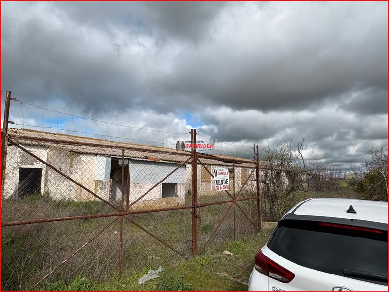 Foto fcfc6b8d-b211-4725-aee5-c9c0e1578f01. Mas dans Torrijos