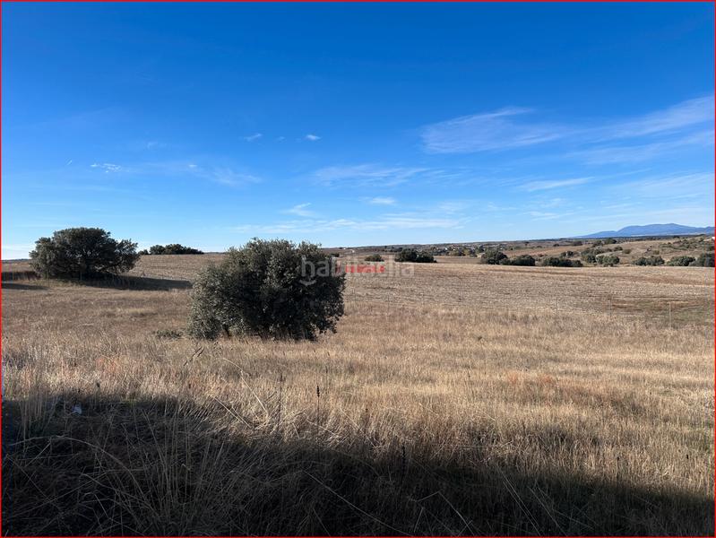 Foto 7c099308-2e27-446d-887f-04d64b19a1d9. Masia a Torre de Esteban Hambrán (La)