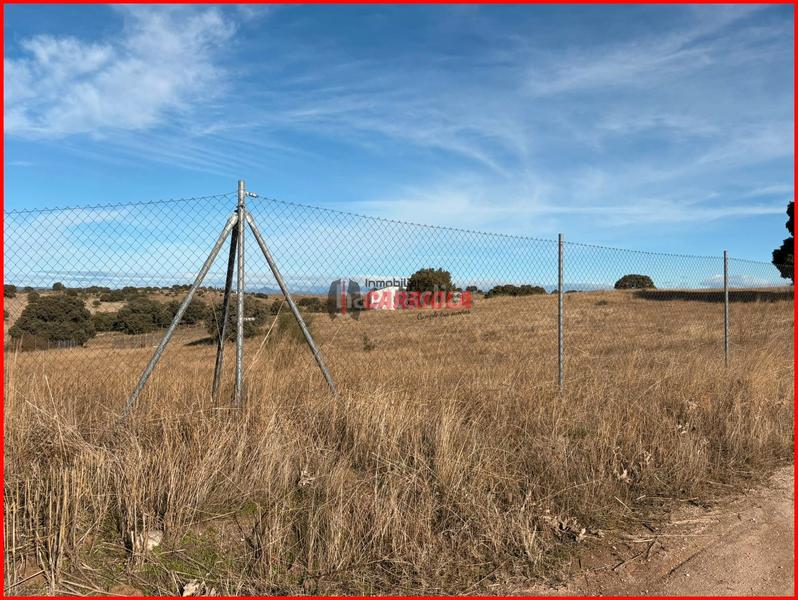 Foto 91ce7231-10e8-4d2f-b0be-bd75266b86ba. Masia a Torre de Esteban Hambrán (La)