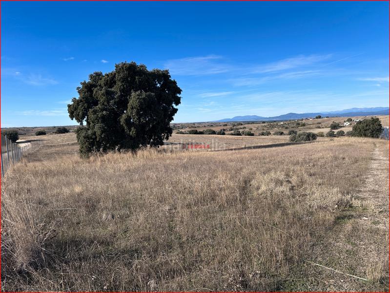 Foto bcf9cb59-f6f7-43ea-b7c8-380d3441bfe3. Masia a Torre de Esteban Hambrán (La)