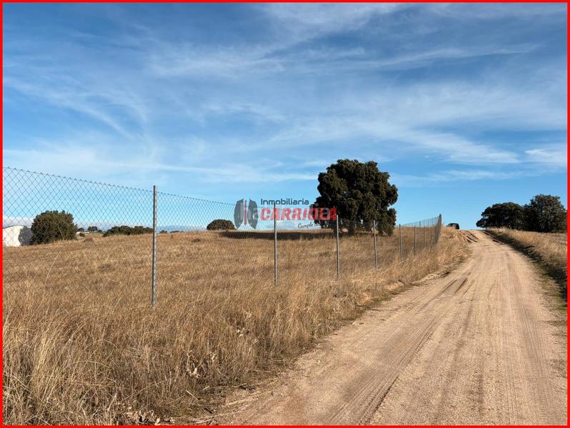 Foto d0127e04-a7ca-4af3-995f-b5276230a429. Masia a Torre de Esteban Hambrán (La)