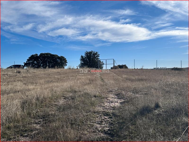 Foto dbae6c4b-782a-4802-bb2a-46401d5f9a20. Masia a Torre de Esteban Hambrán (La)