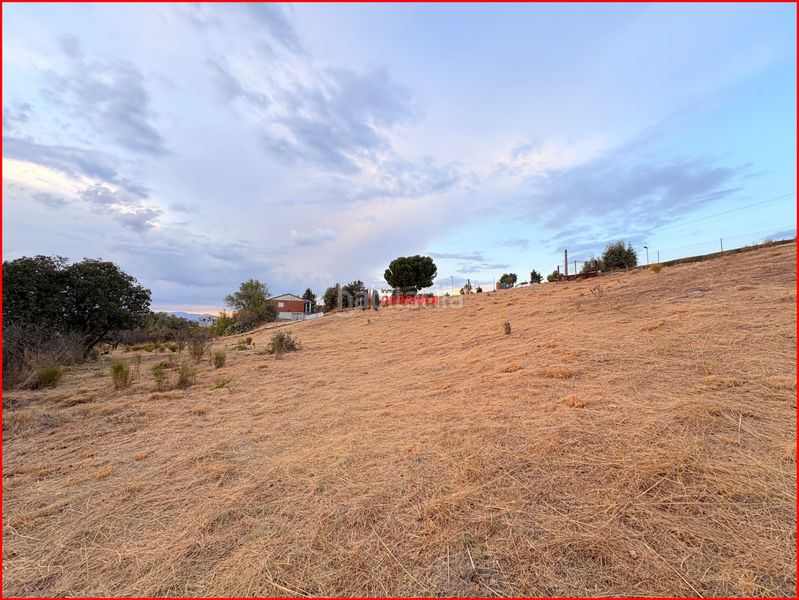Foto ed9c121c-12d6-4ba2-a52d-1b8fead6d9db. Rural plot in Torre de Esteban Hambrán (La)