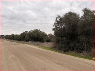 Propriété à Torre de Esteban Hambrán (La)