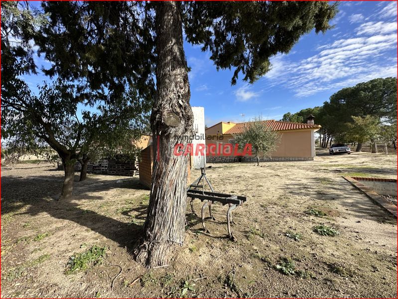 Foto 0122376b-8bc3-4806-a5a3-de9d3ca028cf. Mas dans Gerindote