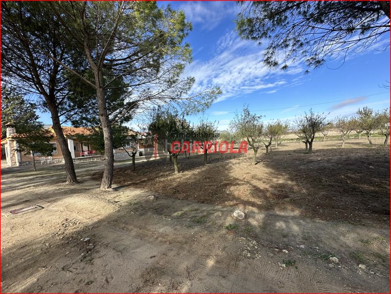 Foto 4548a716-14c6-4922-9a2a-281b1bb869d0. Mas dans Gerindote