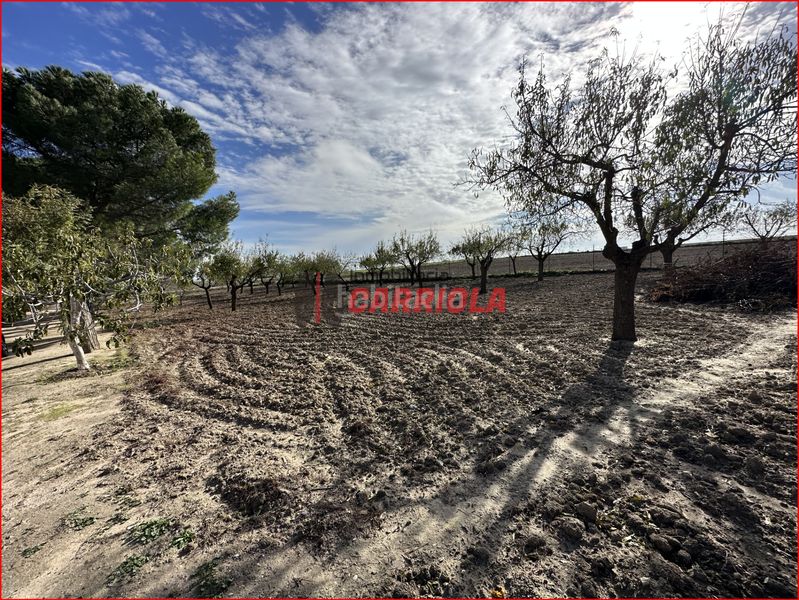 Foto 6060220f-6bec-4ed8-97d7-dff2c2b1c392. Mas dans Gerindote